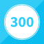 300 pointer