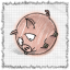 Piggy
