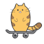 Skateboard Cat