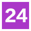 Level 24