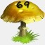 Mushrooms Collected 69