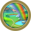 Rainbow Land Completed