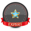 Expert