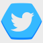 Twitter Social
