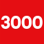 3000 Words