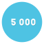5 000