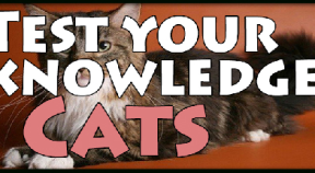 test your knowledge  cats steam achievements