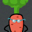 Carrot...