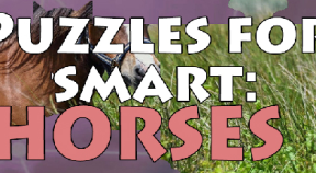 puzzles for smart  horses steam achievements