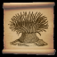 The Sea Anemone