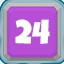 Level 24