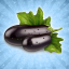 Wholesale Eggplants I
