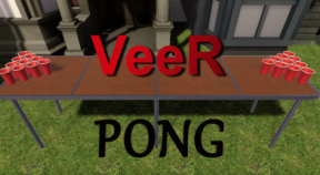 veer pong steam achievements