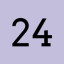 Level 24