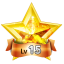 Experience Level: Lv 15