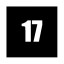 Level 17