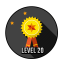 Level 20