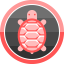 Tortoise
