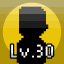 Level 30
