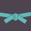 Blue Belt