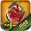 1000 Fruits