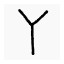 Y