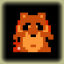 Raccoon