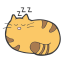 Sleepy Cat