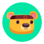 Ninja Bear
