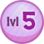 Level 5