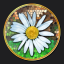 Defender of Daisies!