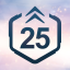 Level 25