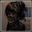 Shadow