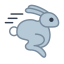 Rabbit hype