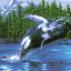 Whale