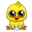 Adopt a baby Chicken