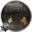 One Big Happy Flock