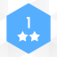 Level 1: 2 stars