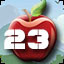 Cleared Level 23
