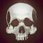Yorick the Skull