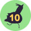 10 new birds