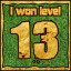 Сongratulations you won the level 13