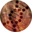 Scientist