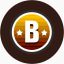 Professionnal License