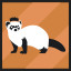 Golden Ferret