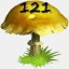 Mushrooms Collected 121