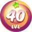 Level 40