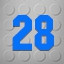 Level 28