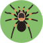 Tarantula