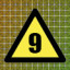 Level 9